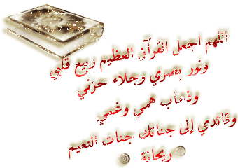 mohamed ali