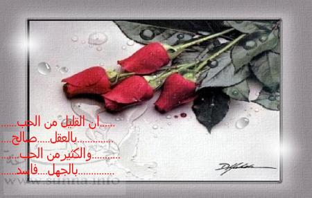 mohamed ali